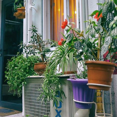 Apartment On Freedom Square Diuma Street ティビリシ エクステリア 写真