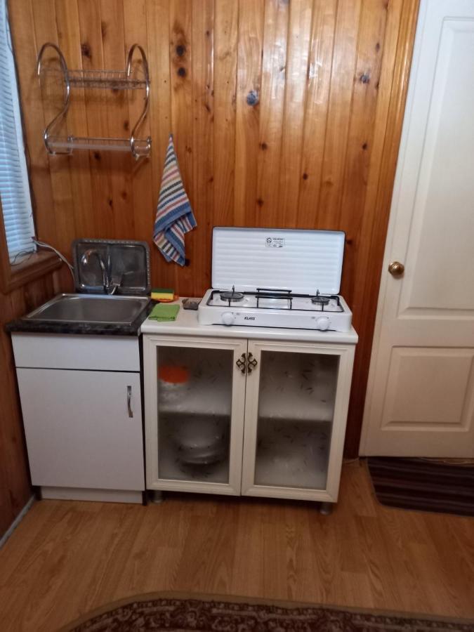Apartment On Freedom Square Diuma Street ティビリシ エクステリア 写真