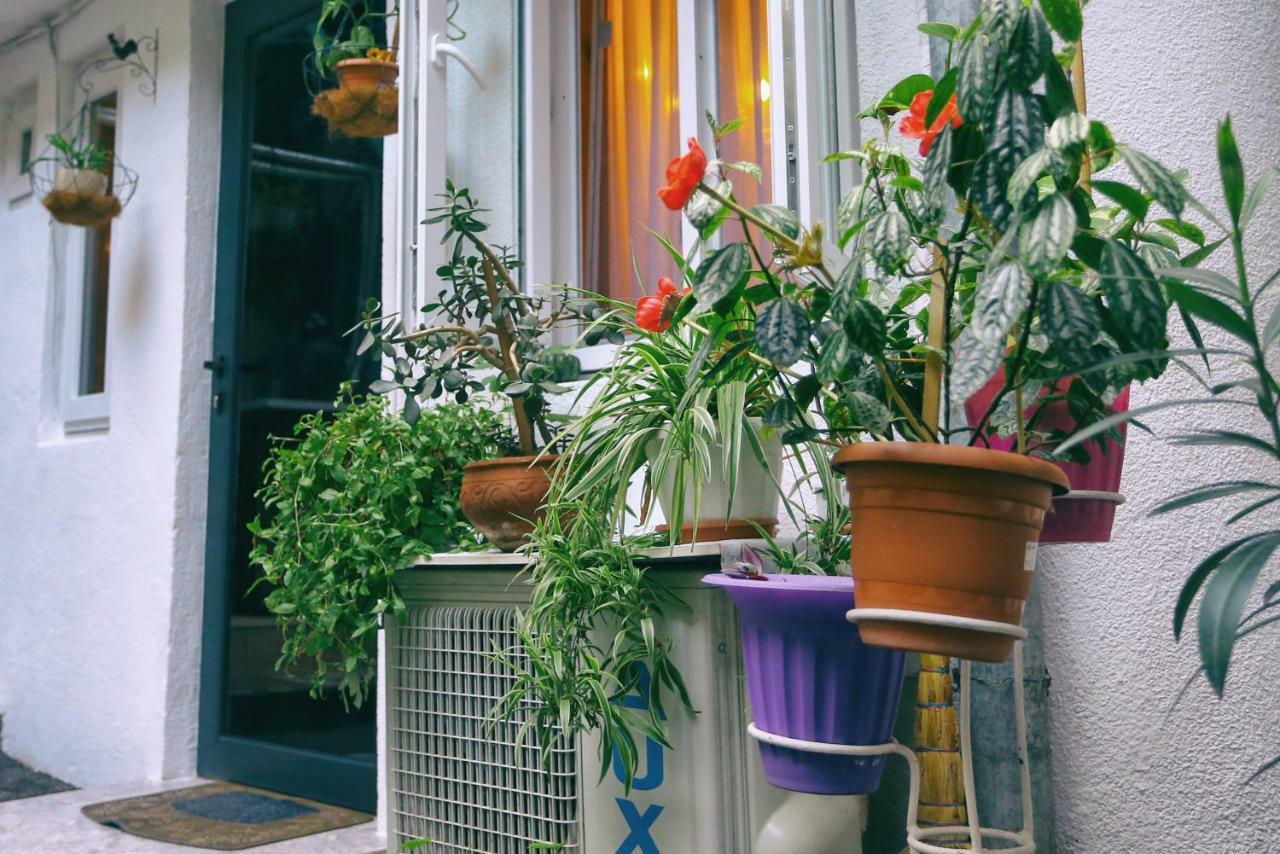 Apartment On Freedom Square Diuma Street ティビリシ エクステリア 写真